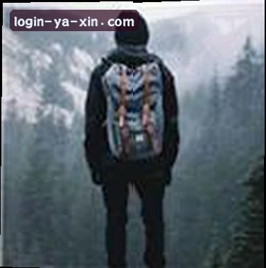 赵刚